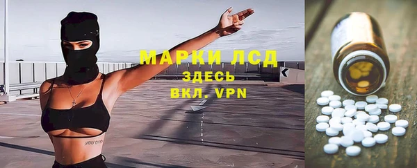 сатива Вязьма