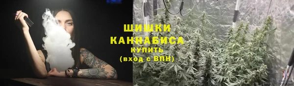 сатива Вязьма