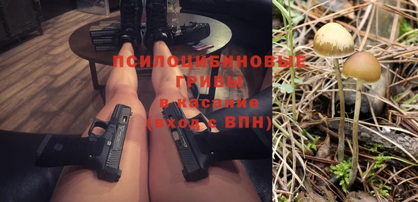 сатива Вязьма