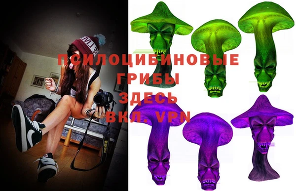 сатива Вязьма