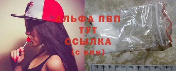 сатива Вязьма