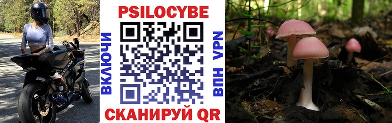 Купить где Никольское Псилоцибиновые грибы мухоморы