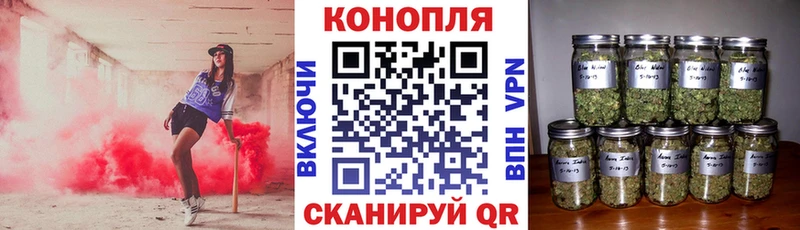 Конопля сатива  Купить где  Никольское 